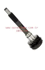 PİRİZDİREK MİLİ 17 DİŞ