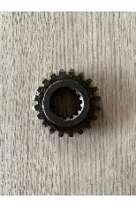 PRİZDİREK MİLİ DİŞLİSİ