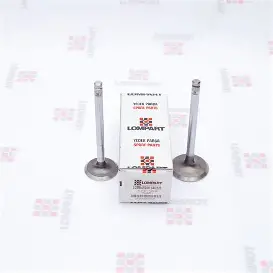 SUPAP TAKIMI EMME-EKSOZ SUPAR  FARKLI  050